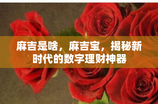 麻吉是啥，麻吉宝，揭秘新时代的数字理财神器
