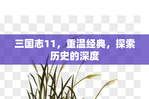 三国志11，重温经典，探索历史的深度