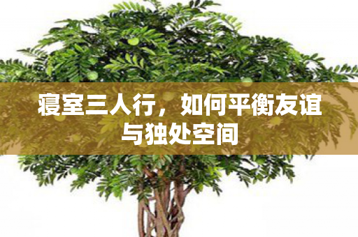 寝室三人行,如何平衡友谊与独处空间 寝室三人行,如何平衡友谊与独处空间