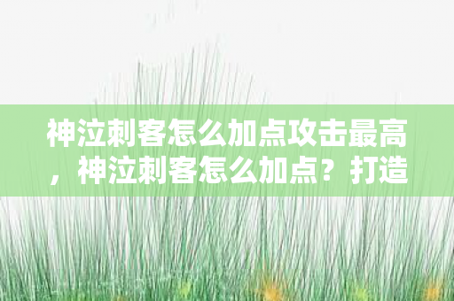 神泣刺客怎么加点攻击最高，神泣刺客怎么加点？打造最强刺客的攻略