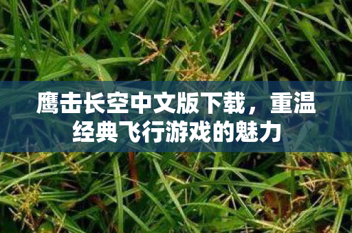 鹰击长空中文版下载，重温经典飞行游戏的魅力