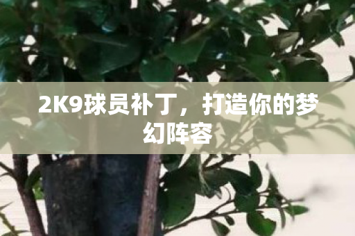 2K9球员补丁,打造你的梦幻阵容 2K9球员补丁,打造你的梦幻阵容