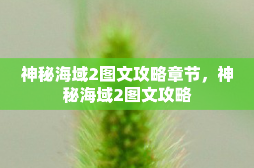 神秘海域2图文攻略章节，神秘海域2图文攻略