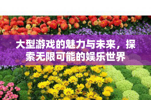 大型游戏的魅力与未来，探索无限可能的娱乐世界