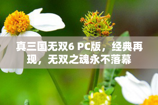 真三国无双6 PC版，经典再现，无双之魂永不落幕