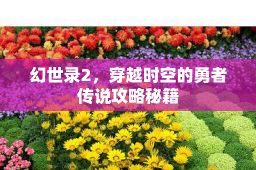 幻世录2,穿越时空的勇者传说攻略秘籍 幻世录2,穿越时空的勇者传说攻略秘籍