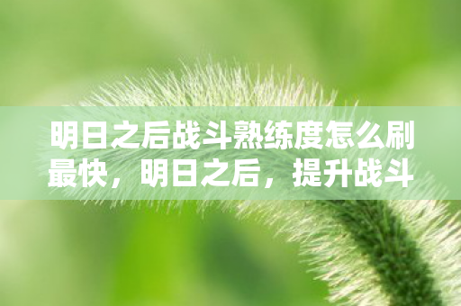 明日之后战斗熟练度怎么刷最快，明日之后，提升战斗熟练度的全面指南