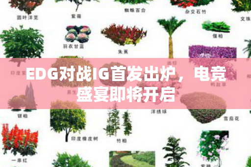 EDG对战IG首发出炉，电竞盛宴即将开启