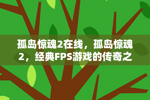 孤岛惊魂2在线，孤岛惊魂2，经典FPS游戏的传奇之旅