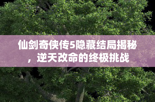 仙剑奇侠传5隐藏结局揭秘，逆天改命的终极挑战
