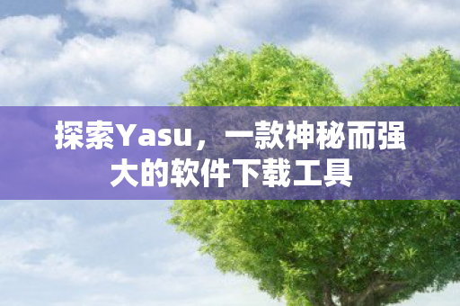 探索Yasu，一款神秘而强大的软件下载工具