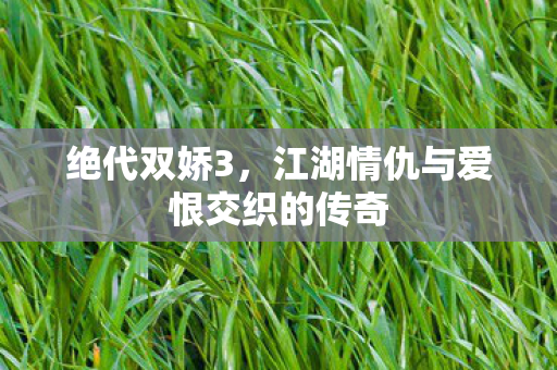 绝代双娇3，江湖情仇与爱恨交织的传奇