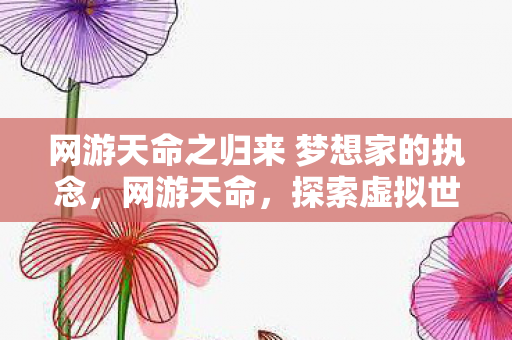 网游天命之归来 梦想家的执念，网游天命，探索虚拟世界的无限可能