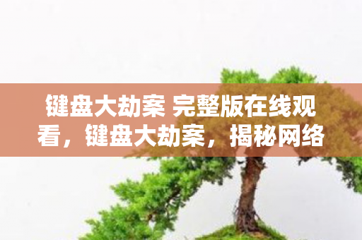 键盘大劫案 完整版在线观看,键盘大劫案,揭秘网络背后的神秘力量 键盘大劫案 完整版在线观看,键盘大劫案,揭秘网络背后的神秘力量