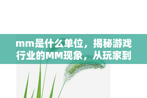 mm是什么单位，揭秘游戏行业的MM现象，从玩家到游戏开发者的转变之路