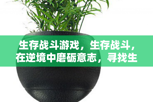 生存战斗游戏，生存战斗，在逆境中磨砺意志，寻找生命的意义