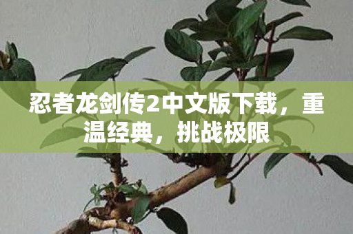 忍者龙剑传2中文版下载，重温经典，挑战极限