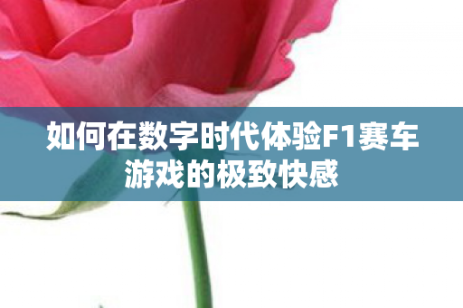 如何在数字时代体验F1赛车游戏的极致快感