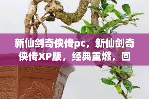 新仙剑奇侠传pc，新仙剑奇侠传XP版，经典重燃，回忆再现