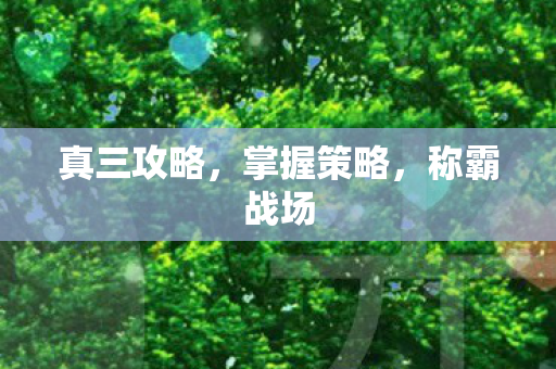 真三攻略，掌握策略，称霸战场