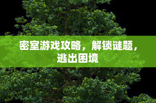 密室游戏攻略,解锁谜题,逃出困境 密室游戏攻略,解锁谜题,逃出困境
