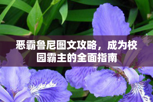 恶霸鲁尼图文攻略，成为校园霸主的全面指南