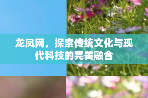 龙凤网,探索传统文化与现代科技的完美融合 龙凤网,探索传统文化与现代科技的完美融合