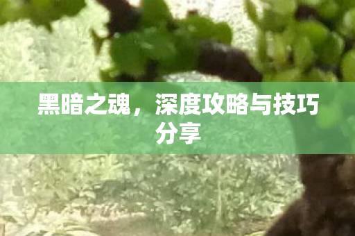 黑暗之魂，深度攻略与技巧分享