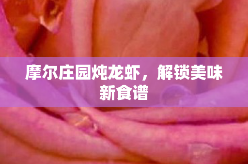 摩尔庄园炖龙虾，解锁美味新食谱