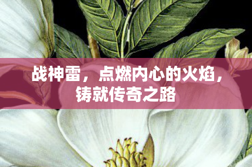 战神雷,点燃内心的火焰,铸就传奇之路 战神雷,点燃内心的火焰,铸就传奇之路