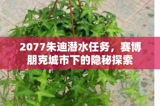 2077朱迪潜水任务,赛博朋克城市下的隐秘探索 2077朱迪潜水任务,赛博朋克城市下的隐秘探索
