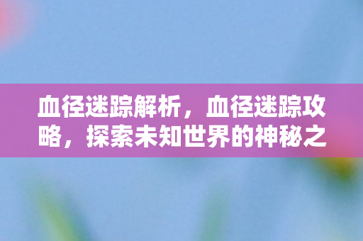 血径迷踪解析，血径迷踪攻略，探索未知世界的神秘之旅