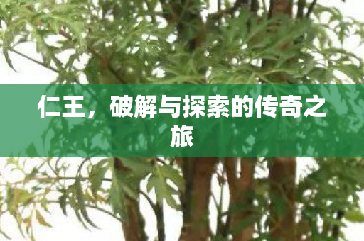 仁王，破解与探索的传奇之旅