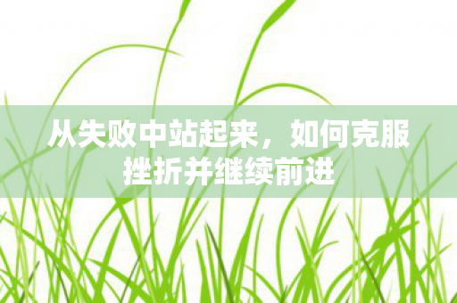 从失败中站起来，如何克服挫折并继续前进