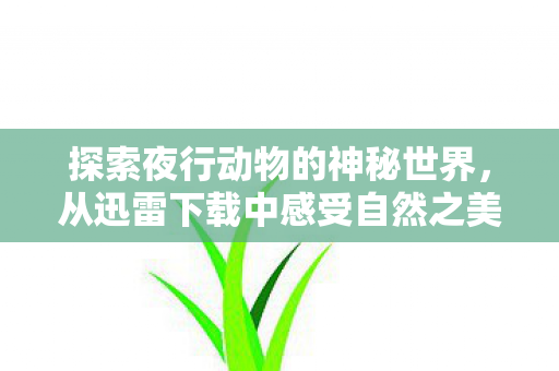 探索夜行动物的神秘世界，从迅雷下载中感受自然之美