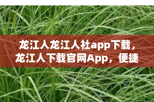 龙江人龙江人社app下载，龙江人下载官网App，便捷生活，一触即达