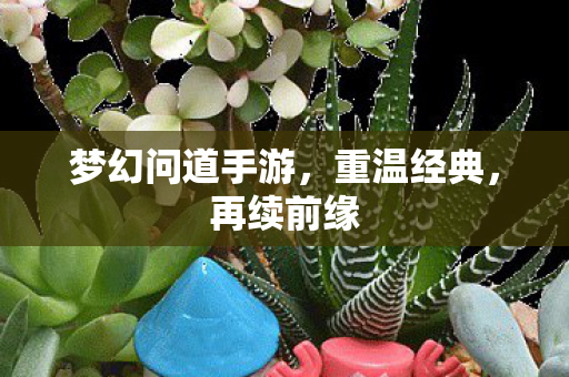 梦幻问道手游,重温经典,再续前缘 梦幻问道手游,重温经典,再续前缘