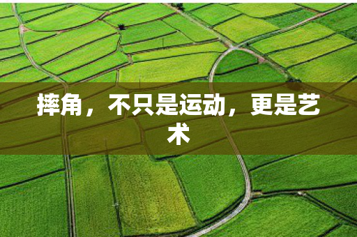 摔角，不只是运动，更是艺术