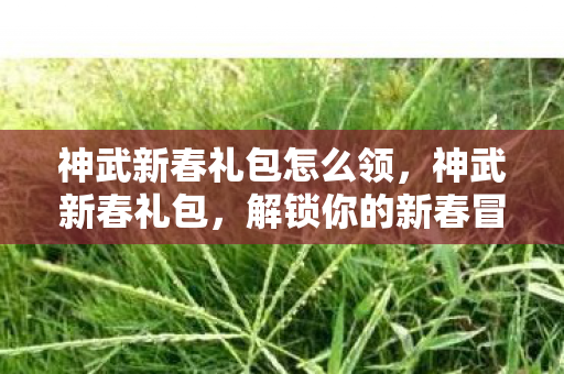 神武新春礼包怎么领，神武新春礼包，解锁你的新春冒险之旅