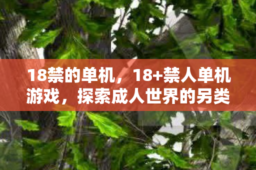 18禁的单机，18+禁人单机游戏，探索成人世界的另类娱乐