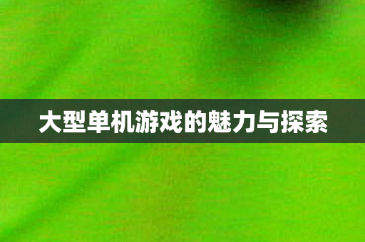 大型单机游戏的魅力与探索