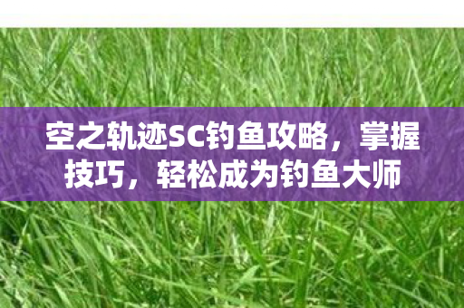 空之轨迹SC钓鱼攻略，掌握技巧，轻松成为钓鱼大师