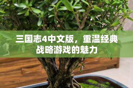 三国志4中文版，重温经典战略游戏的魅力
