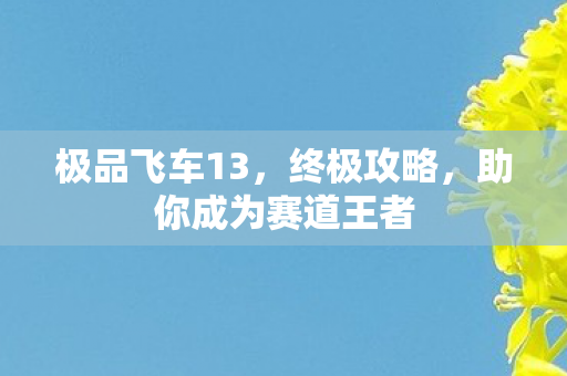 极品飞车13，终极攻略，助你成为赛道王者