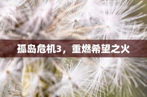 孤岛危机3，重燃希望之火