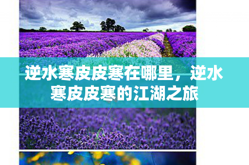 逆水寒皮皮寒在哪里，逆水寒皮皮寒的江湖之旅