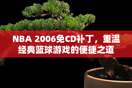 NBA 2006免CD补丁，重温经典篮球游戏的便捷之道
