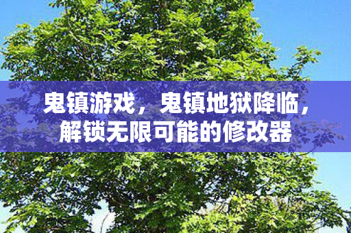 鬼镇游戏,鬼镇地狱降临,解锁无限可能的修改器 鬼镇游戏,鬼镇地狱降临,解锁无限可能的修改器