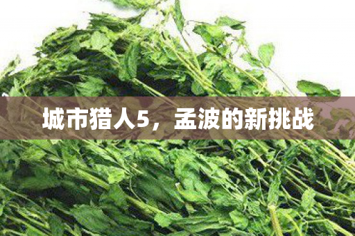 城市猎人5，孟波的新挑战