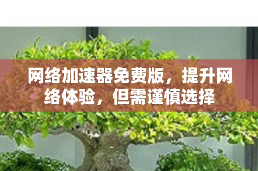 网络加速器免费版,提升网络体验,但需谨慎选择 网络加速器免费版,提升网络体验,但需谨慎选择